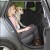 Trixie Подстилка в салон автомобиля (145×160см)