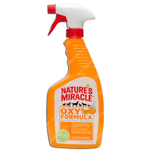 Natures Miracle Stain Odor Remover  -  10