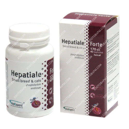 Hepatiale Forte  -  3