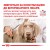 Royal Canin Hypoallergenic Лечебные консервы для собак