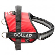 https://www.zootovary.com/getimage/products/collar/3973/Collar_red.jpg&amp;w=195&amp;h=195