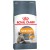 Royal Canin Hair & Skin Care Сухой корм для кошек Здоровья кожи и шерсти