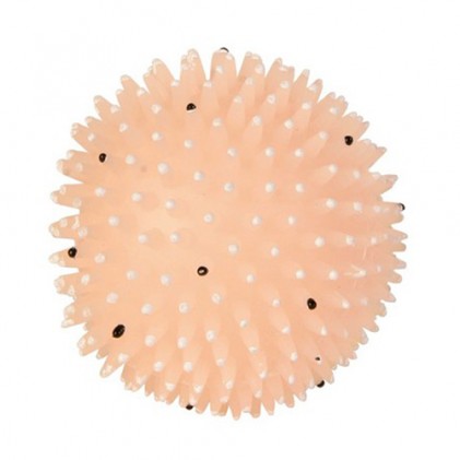 Trixie 34091 Фосфоресцирующий игольчатый мяч с пищалкой 10 см