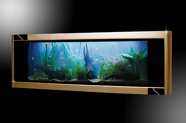 самый дорогой в мире аквариум