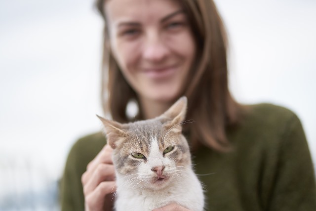 Может ли кошка заразиться от человека? | Блог зоомагазина Zootovary.com