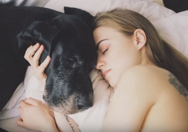 почему собака спит в одной постели с хозяином