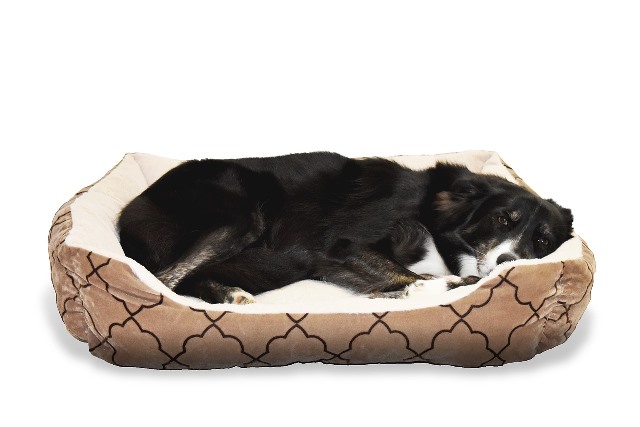 лежак для собак