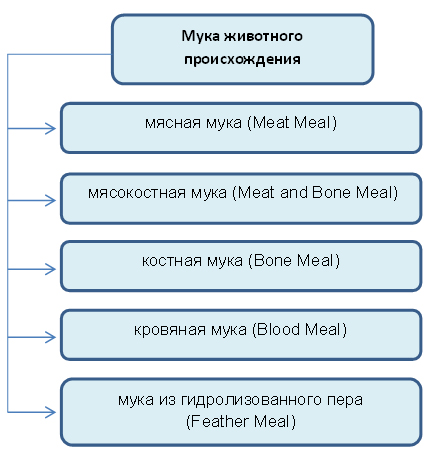 мясная мука