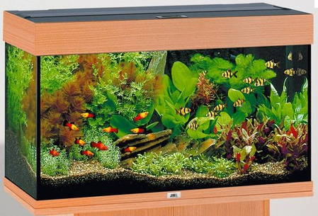 Фильтры для домашних аквариумов